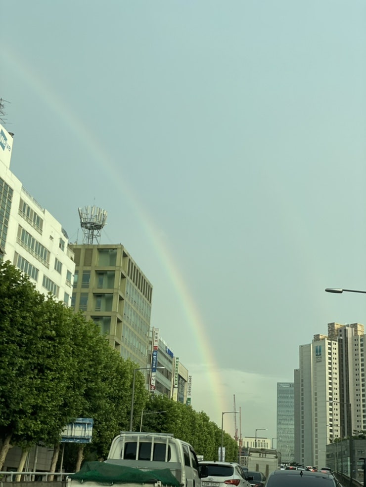 돌체밤비나 사진 2