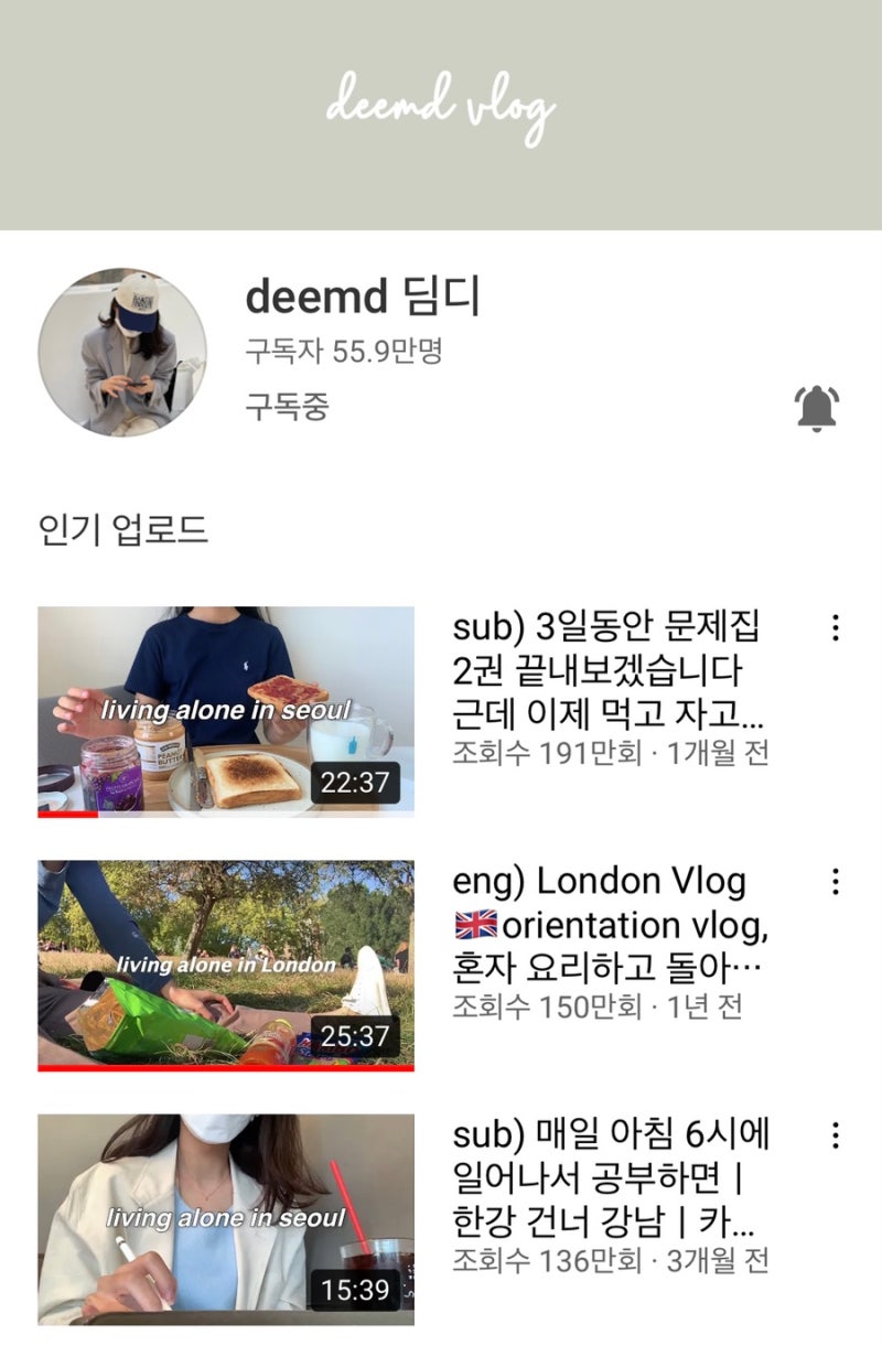 내가 보는 일상 유투브 브이로거 소개/추천 : 네이버 블로그