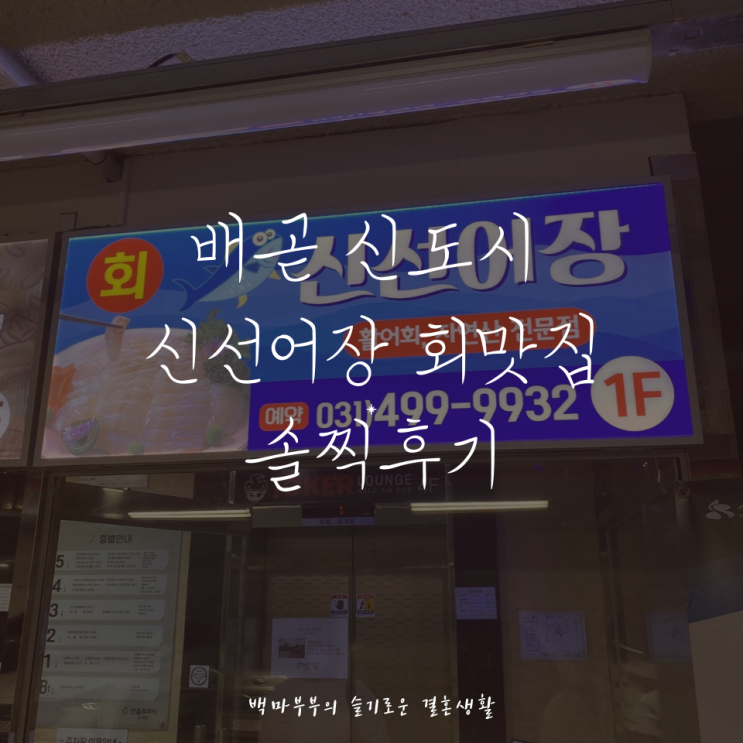  배곧 신도시 회맛집 서비스 좋은 회집 뷰좋은 신선어장 광어 맛집