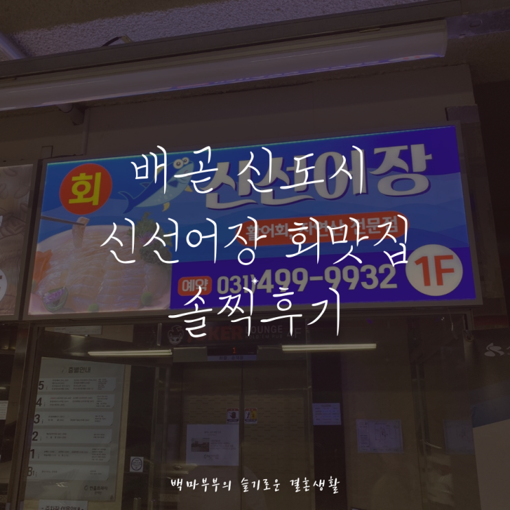 배곧 신도시 회맛집 서비스 좋은 회집 뷰좋은 신선어장 광어 맛집