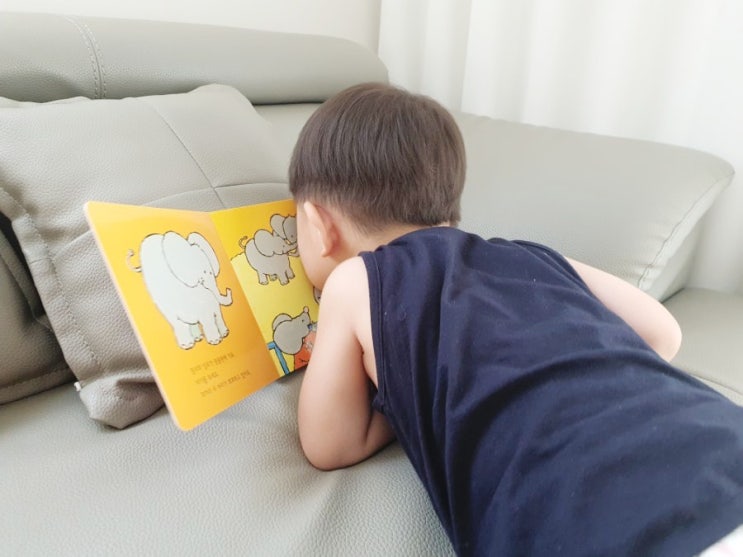  두돌아기책 성장발달동화 사랑해 릴리와밀로