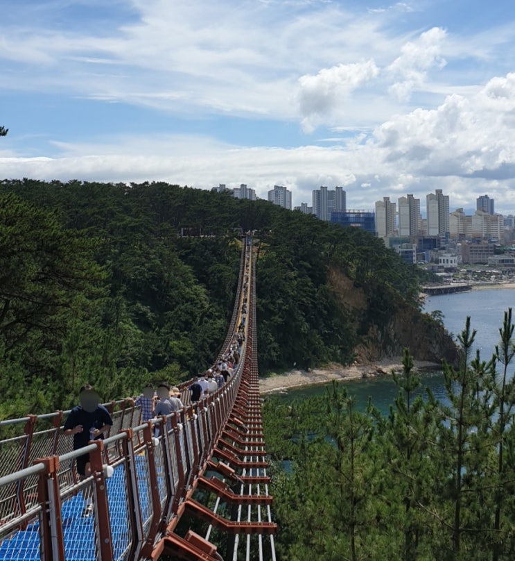  울산 12경 대왕암 출렁다리 울기등대 둘레길코스