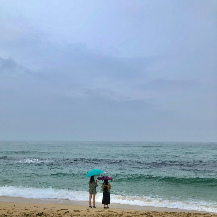  [국내여행] 뚜벅이들의 1박2일 강릉여행, 1일차 경포대 코스 / 순두부젤라또, 짬뽕순두부, 카페추천
