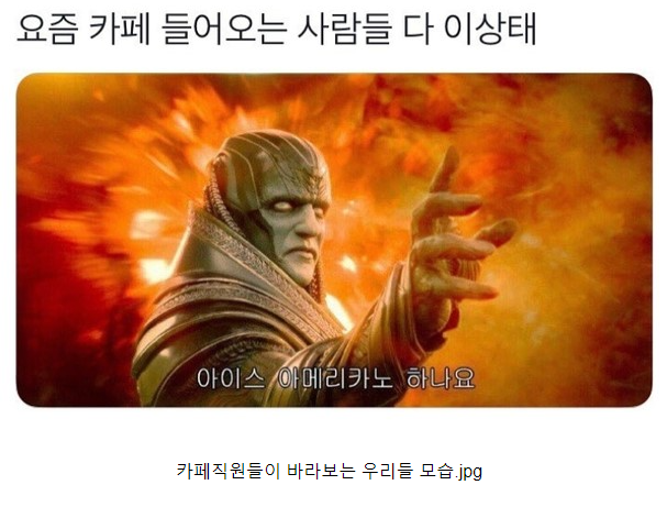 삼복더위 냉면멈춰!! 이열치열 삼계탕의 유래와 효능