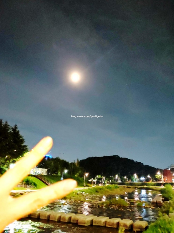  7월 21일 오늘일기