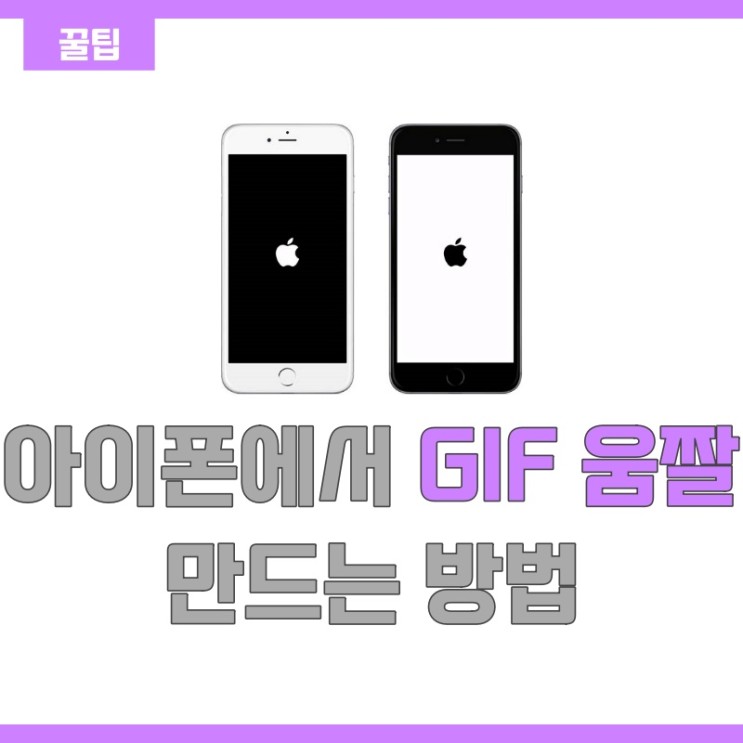 [꿀팁] 아이폰으로 GIF 움짤 쉽게 만드는 초간단 방법