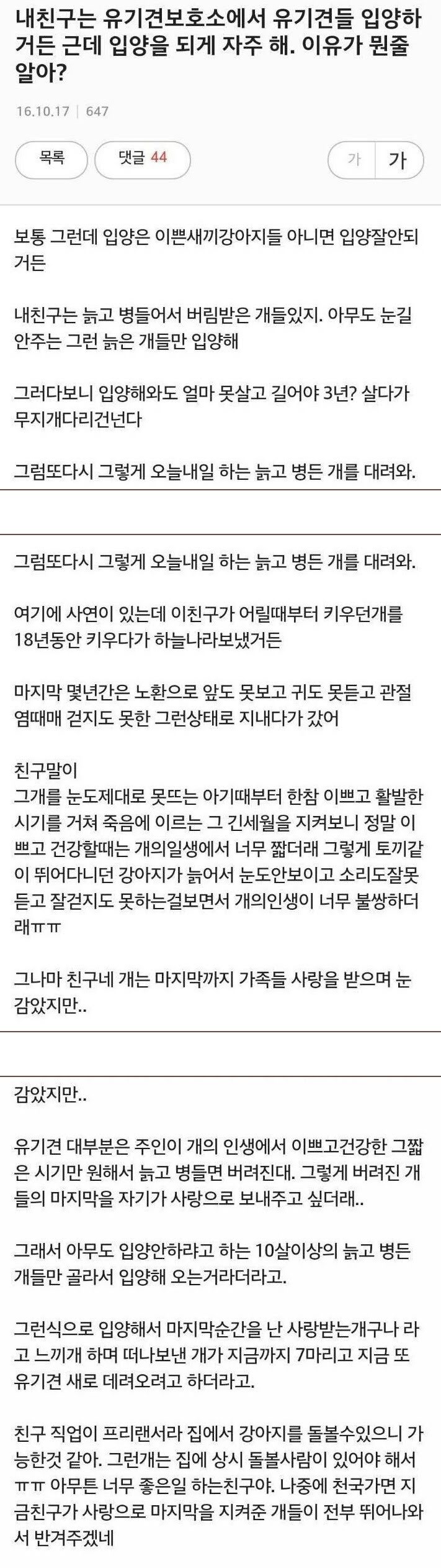  이 시대의 천사