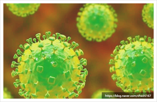 니파 바이러스 : 증상, 위험요인, 예방법