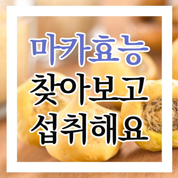  마카 효능 찾아보고 섭취해요!!
