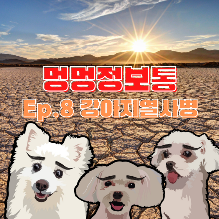 강아지 열사병 예방법 응급 처치 인천 24시 동물병원