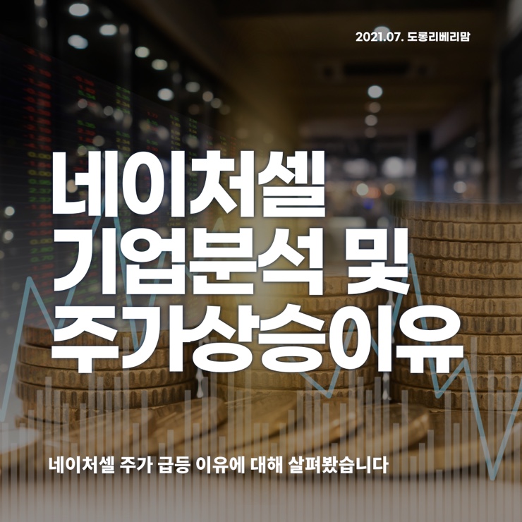  네이처셀 주가 상승이유 그리고 가치분석