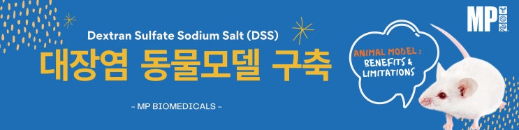  IBD 동물모델 구축- Part II. IBD 동물모델간 특징비교