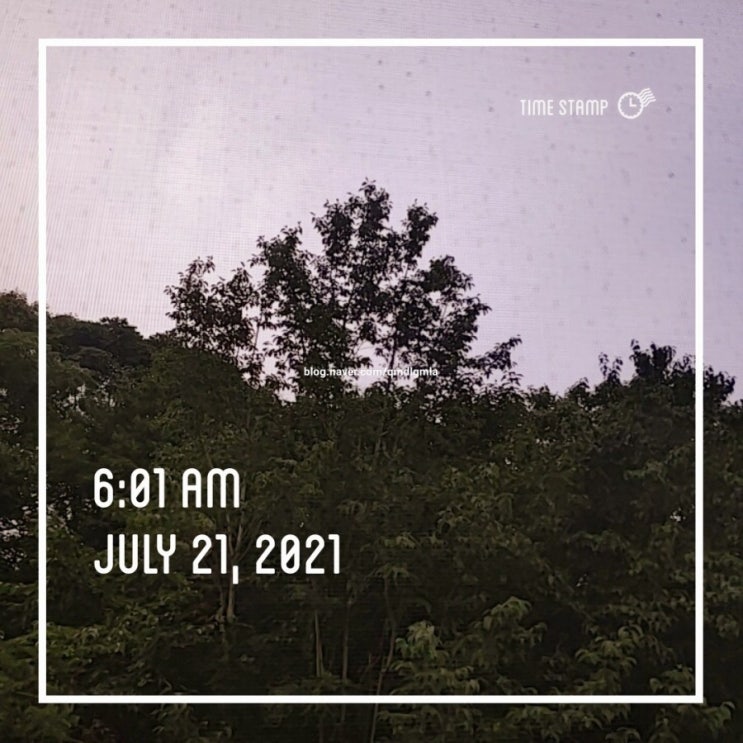  미라클 모닝 3일