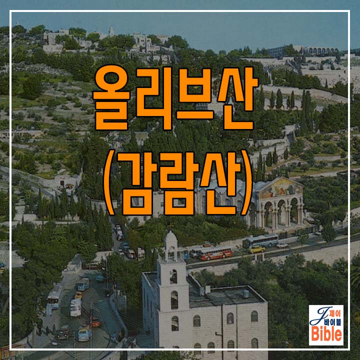  감람산(올리브 산)의 역사