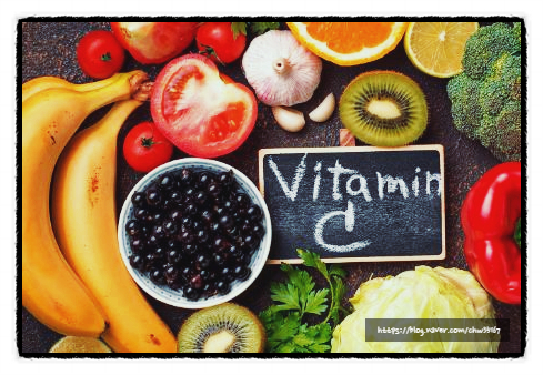 비타민C가 풍부한 음식은 뭐가 있을까?