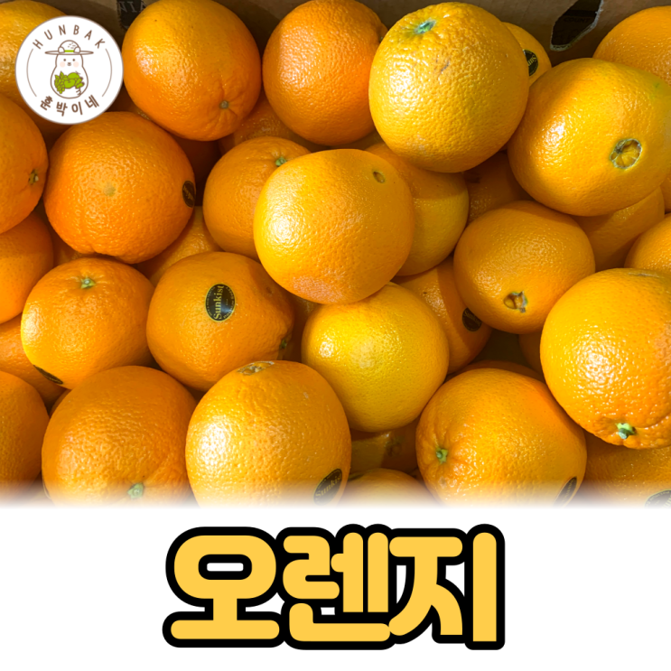 최근 많이 팔린 썬키스트 블랙라벨 퓨어스펙 레드 고당도 오렌지 벌크 17kg 1박스, 퓨어스팩 중과 88과 1box ··· 최근 많이 팔린 썬키스트 블랙라벨 퓨어스펙 레드 고당도 오렌지 벌크 17kg 1박스, 퓨어스팩 중과 88과 1box ···