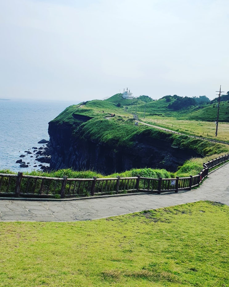  #제주도 송악산 둘레길