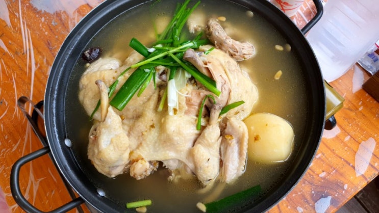  가평 애견동반식당 계곡애견쉼터 가평백숙집 식사 후 물놀이도 가능한 맛집