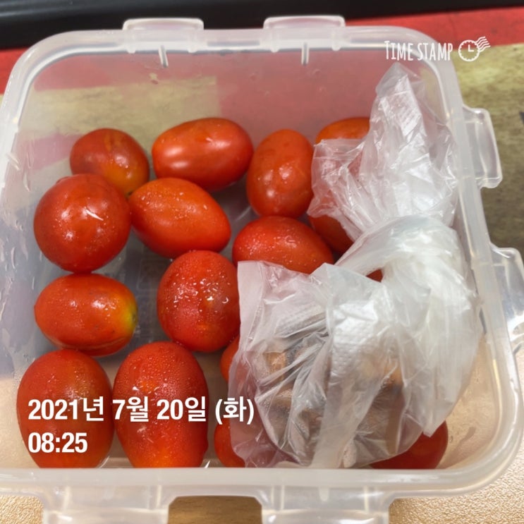  남자 P.T 운동 식단 15일차