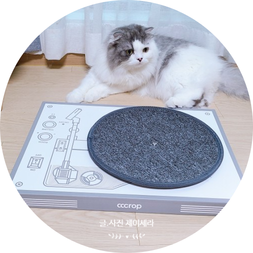 고양이용품 : 귀여움 뿜뿜한 턴테이블 만능 스크래쳐 (ft. 크롭스튜디오)
