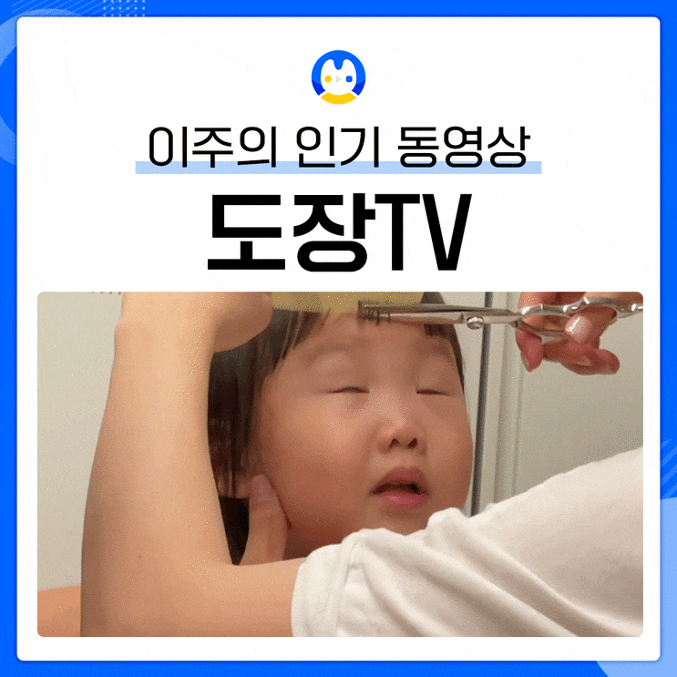  [유튜브 인기급상승] 인동1위이유 월수익ㅣ도장TV! 하영이?