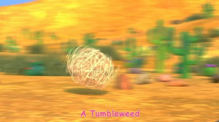 [짧은영영단어장] tumbleweed