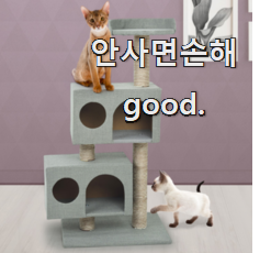  직접찾은 소형캣타워 인기아이템 대리님이 알려줬어요.