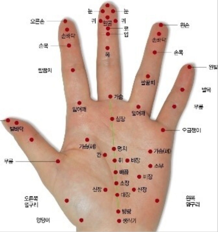  나이 들수록 건강이 최고!!