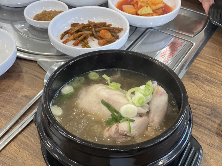  용인 동백동 중복기념 삼계탕 <약초마을> 동백점 방문!