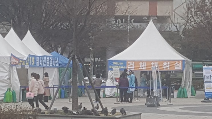  대구 경북 등 지역별 사회적 거리두기 단계