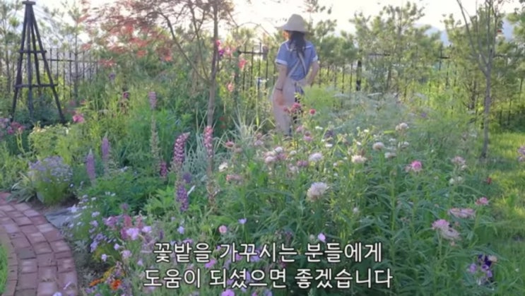  허허벌판을 1년동안 정원으로 만든 이야기