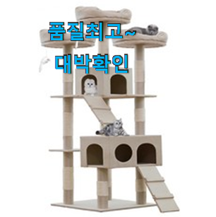 꼭 사고싶은 선인장캣타워 좋은물건 강추합니당 꼭 사고싶은 선인장캣타워 좋은물건 강추합니당