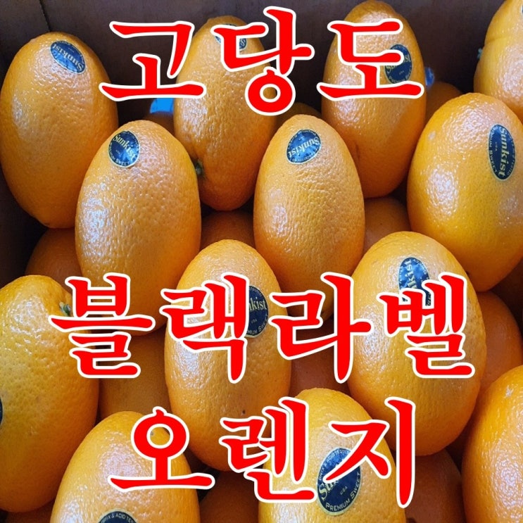 리뷰가 좋은 썬키스트 블랙라벨 오렌지 고당도 코스트코 카라카라 오렌지 캘리포니아오렌지 퓨어스펙 선키스트 못난이 제철, 블랙라벨 중과 10개 추천합니다 리뷰가 좋은 썬키스트 블랙라벨 오렌지 고당도 코스트코 카라카라 오렌지 캘리포니아오렌지 퓨어스펙 선키스트 못난이 제철, 블랙라벨 중과 10개 추천합니다