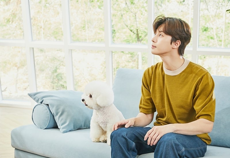 Introducing Essa Fabric Sofa: The Park Seo-joon Sofa
