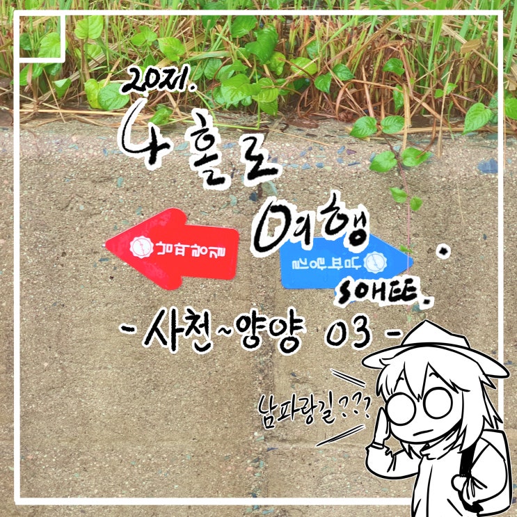  사천- 양양 여행 3번째!! 이번엔.. 남일대 해수욕장 편~~