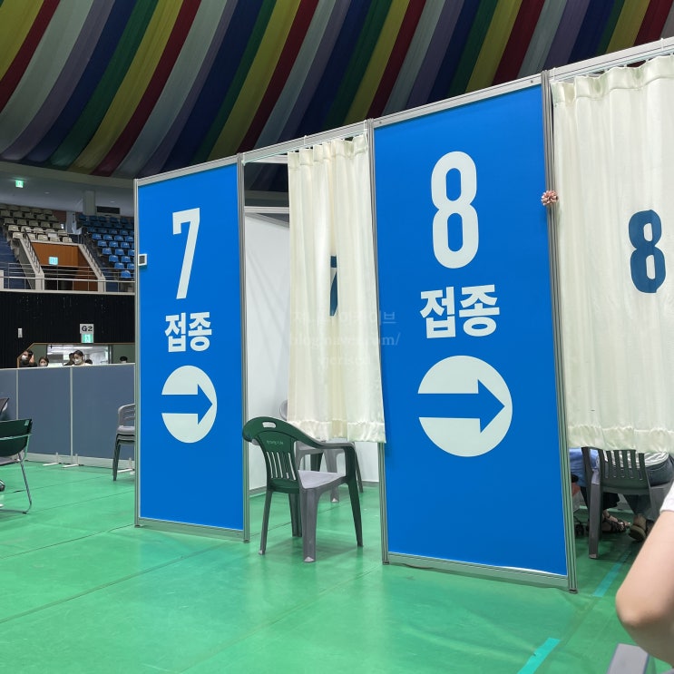  화이자 백신 후기(1차, 20대 여자) 통증,타이레놀,부작용?