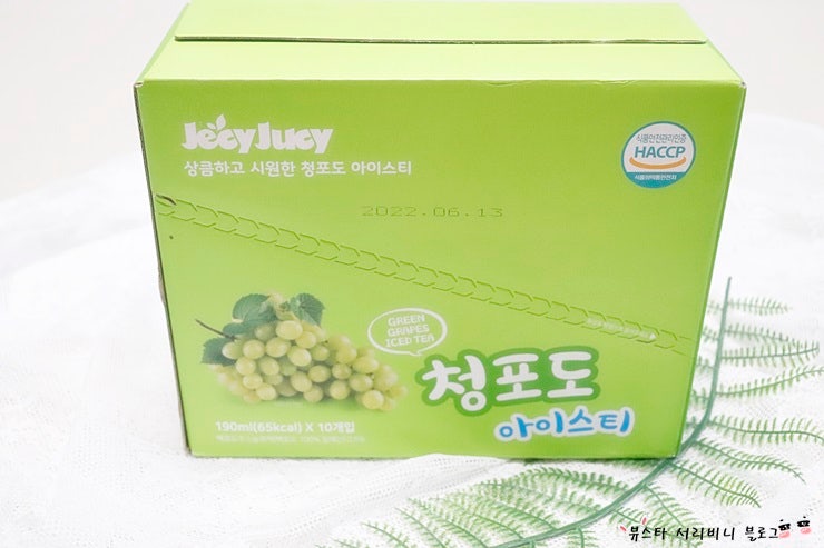 이미지 7690657