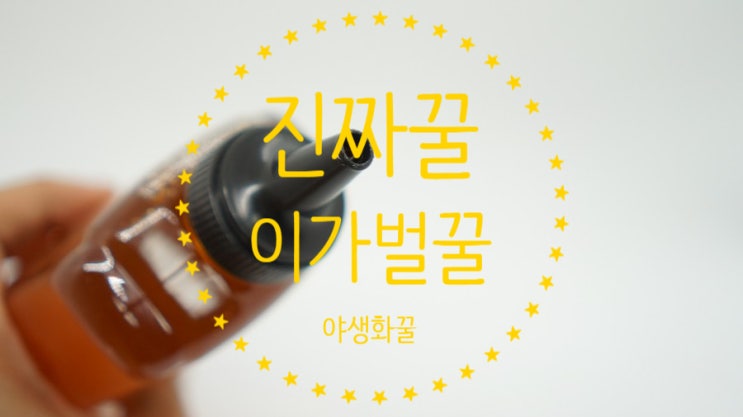  요리에도, 건강에도 좋은 팔방미인 천연벌꿀, 이가벌꿀 야생화꿀!