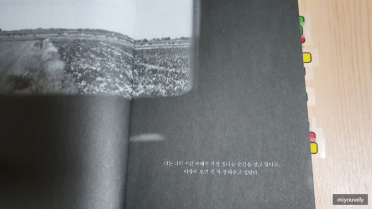  인생 선배의 조언이 담긴 에세이 가끔 내가 마음에 들었지만, 자주 내가 싫었다.