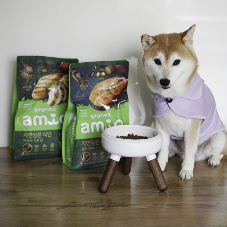  강아지사료 자연담은식단 CJ홈쇼핑 단독특가로 만나봐요