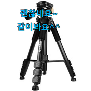 요즘대세 캐논dslr카메라 모두의 선택 친구들도 인정하네요 요즘대세 캐논dslr카메라 모두의 선택 친구들도 인정하네요