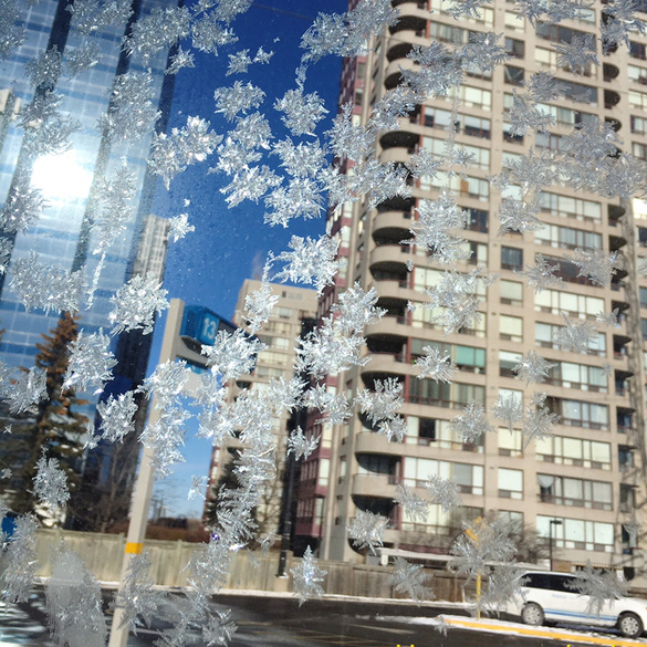 캐나다 일상, 토론토 일상, 2017. 겨울 (브런치, 크리스마스, 산타마을, 디너쇼)
