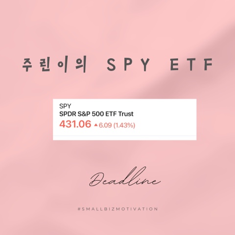  주린이의 SPYETF 알아가기