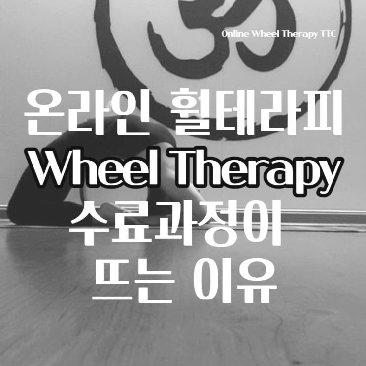  '8월의 테라피 TTC' 온라인 요가 휠테라피 수료과정이 뜨는 이유_동두천지행양주옥정 황수민 메디요가 월 필라테스