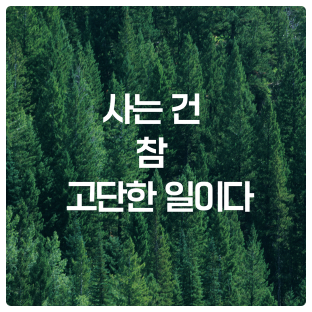  사는 건 참 고단한 일이다