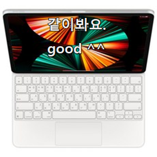  정직한 매직키보드12.9 최고 순위 대리님이 알려줬어요.