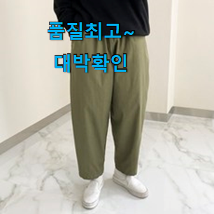 놀라운 가성비 스톤아일랜드스윔팬츠 구매 LIST 추천! 놀라운 가성비 스톤아일랜드스윔팬츠 구매 LIST 추천!