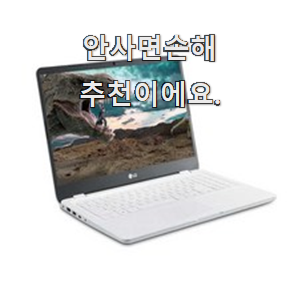  비교선택 lg노트북 꿀템 칭찬 정말 많이해요.