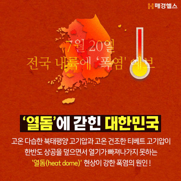  우리나라만 이열치열? 외국인들은 폭염 속 보양식은 어떤걸먹을까?-[일산입시미술,예중,예고,미대준비,초등,중등,고등부,취미,중산.대화,일산동,야당동,덕이동,가좌동,탄현바른미술학원]