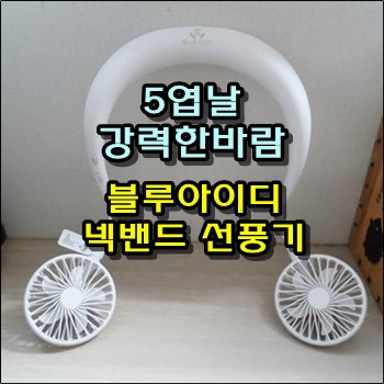 엄마 선물로 구입한 블루아이디 넥풍기